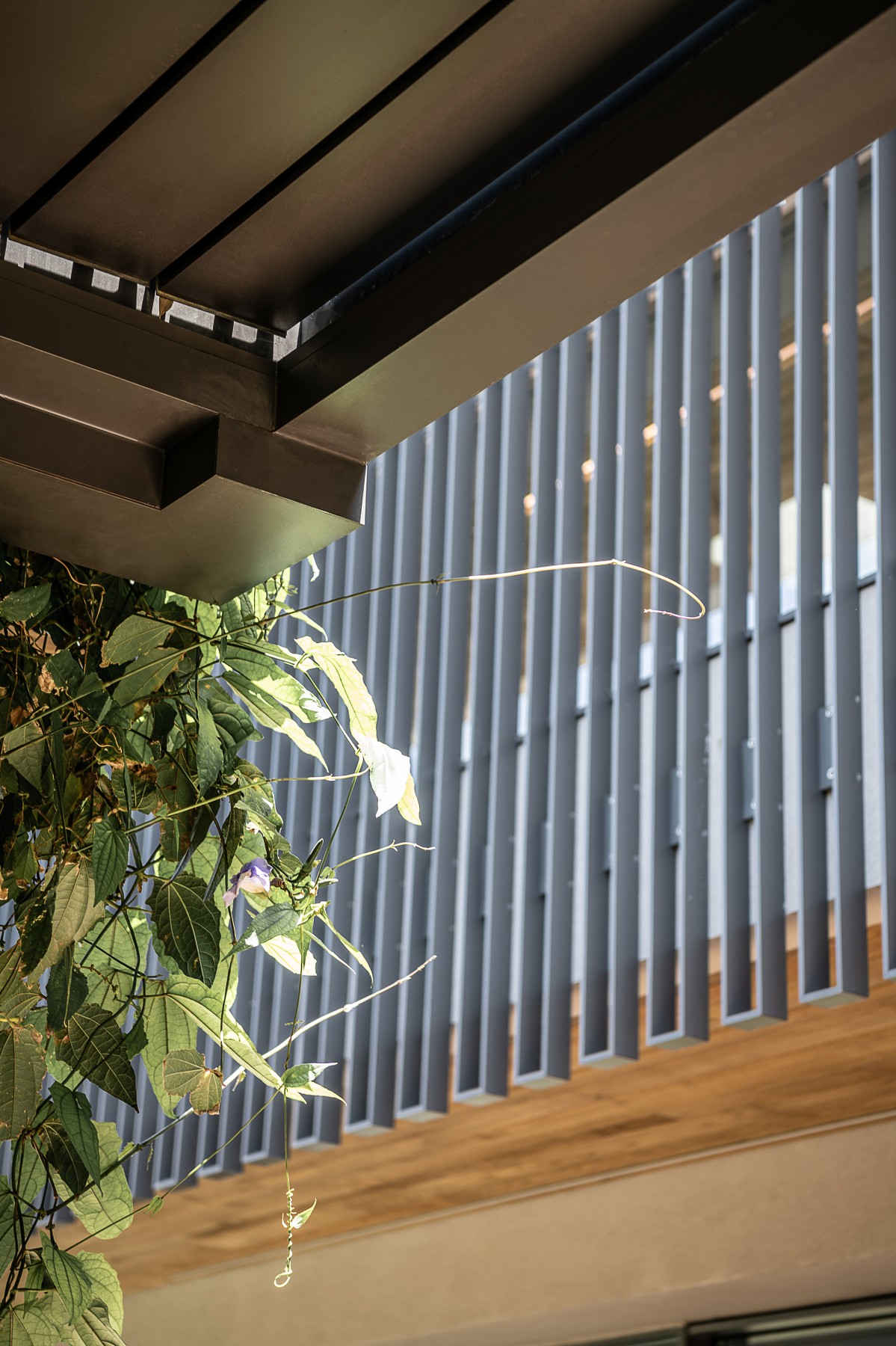 GV Railing-Fence-Gates - Image 11